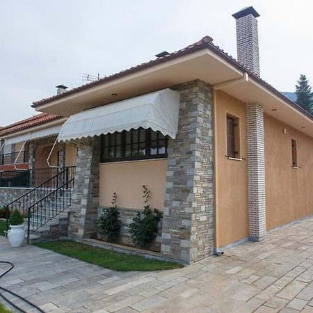Βίλα Για Όλες Τις Εποχές Του Χρόνου 科扎尼 外观 照片
